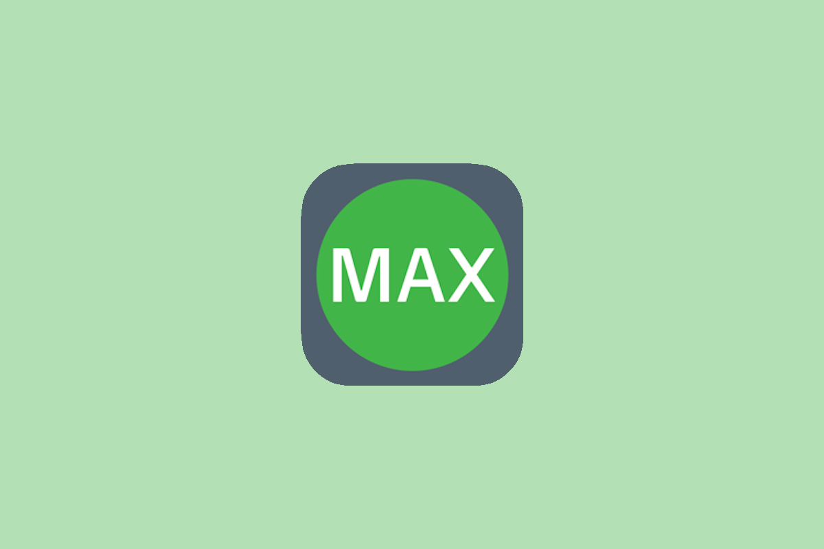 Workflow Max; Logo